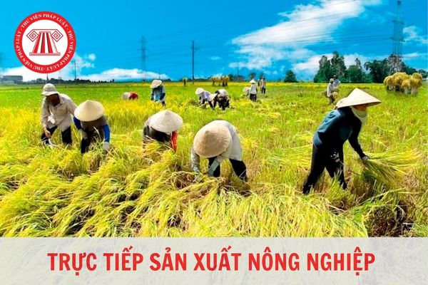 Để xác định một người trực tiếp sản xuất nông nghiệp cần căn cứ vào những yếu tố nào?