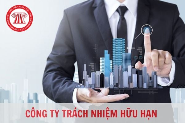 Công ty TNHH 2 thành viên đặt tên là TNHH MTV được không?