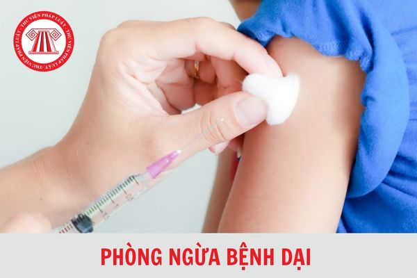 Cách xử lý vết thương khi bị động vật cắn nhằm phòng chống bệnh dại?