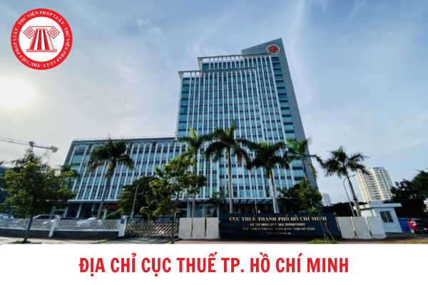Địa chỉ Cục thuế TP. Hồ Chí Minh ở đâu? Cơ cấu tổ chức của Cục thuế TP. Hồ Chí Minh hiện nay như thế nào?
