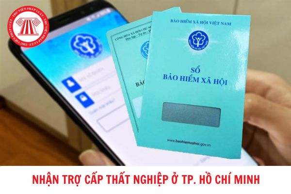 Nơi nộp hồ sơ hưởng trợ cấp thất nghiệp tại TP. Hồ Chí Minh là ở đâu?