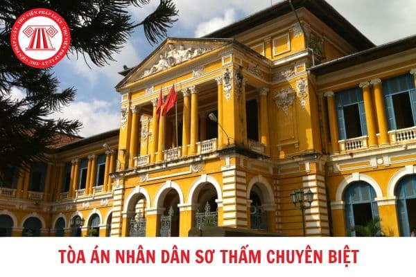 Tòa án sơ thẩm chuyên biệt xét xử những lĩnh vực nào? Cơ quan nào có thẩm quyền thành lập Tòa án sơ thẩm chuyên biệt?