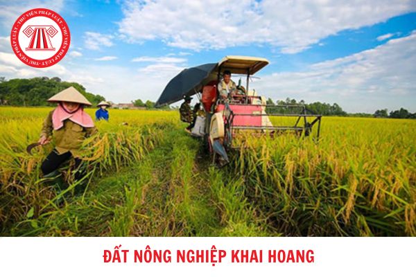 Đất nông nghiệp tự khai hoang có được bồi thường về đất khi nhà nước tiến hành thu hồi đất?