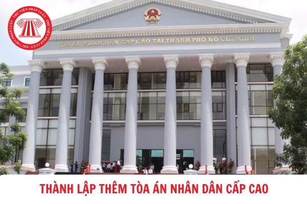 Dự kiến sẽ thành lập thêm 01 Tòa án nhân dân cấp cao? Hiện nay cả nước có bao nhiêu Tòa án nhân dân cấp cao?