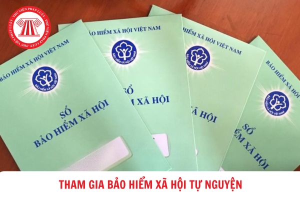 Người lao động đang tạm hoãn thực hiện hợp đồng lao động có thể tham gia bảo hiểm xã hội tự nguyện?