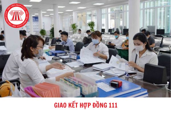 Hợp đồng 111 là hợp đồng gì? Điều kiện ký kết hợp đồng 111 hiện nay?