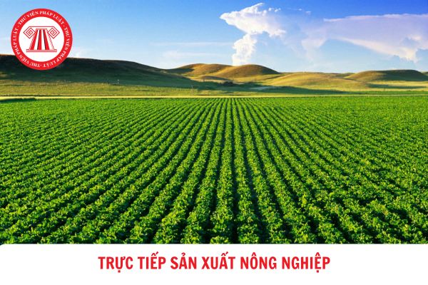 Người lao động có hợp đồng lao động xác định thời hạn có thể được xem là cá nhân trực tiếp sản xuất nông nghiệp?