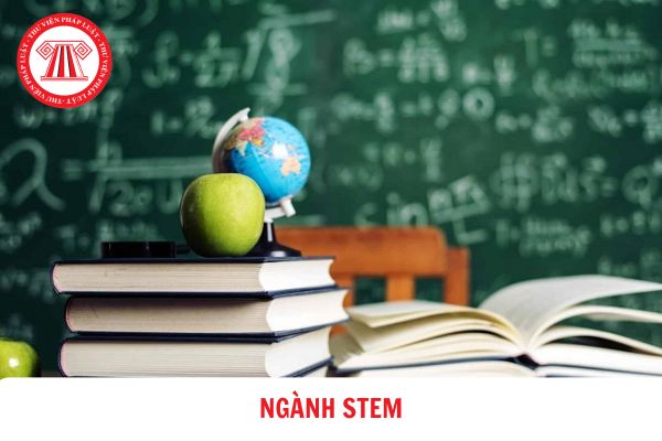 Sẽ tăng cường đào tạo, thu hút và phát triển đội ngũ giảng viên cho các ngành STEM?