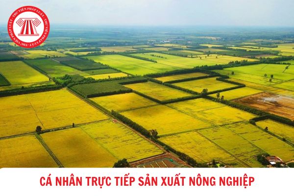 Người hưởng lương hưu có được xem là cá nhân trực tiếp sản xuất nông nghiệp hay không?