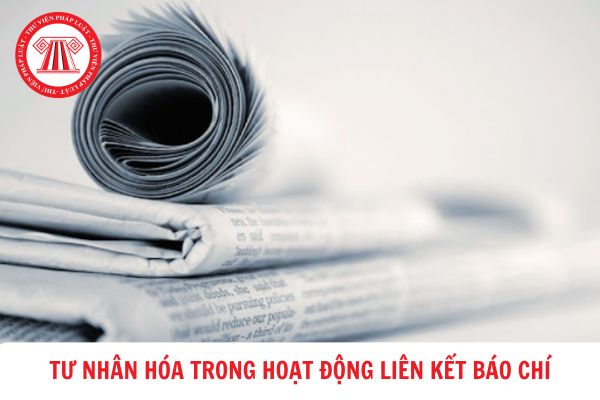 Tư nhân hóa trong hoạt động liên kết báo chí bao gồm những biểu hiện nào?