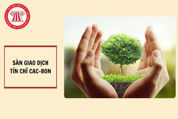 Khi nào sẽ vận hành thí điểm sàn giao dịch tín chỉ các bon?