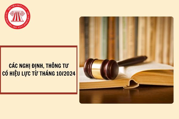 Tổng hợp Nghị định, Thông tư có hiệu lực từ tháng 10/2024?