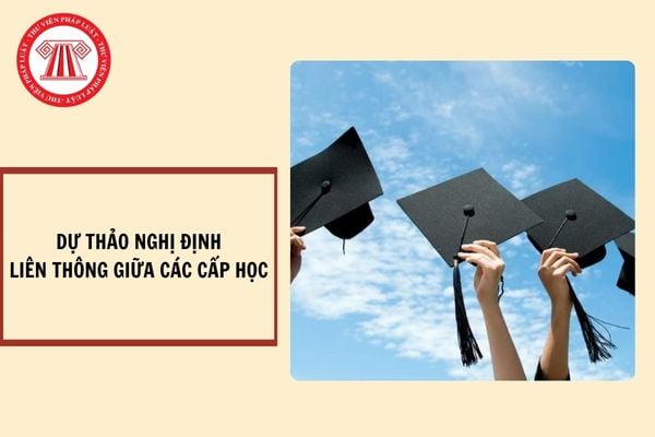 Toàn văn Dự thảo Nghị định về liên thông giữa các cấp học, trình độ đào tạo trong hệ thống giáo dục quốc dân?