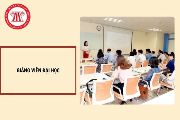 Giảng viên giảng dạy chương trình đại học phải có trình độ giáo dục từ thạc sĩ hay từ tiến sĩ trở lên?