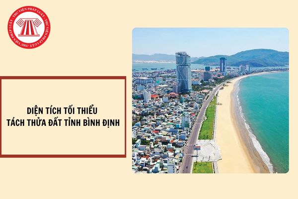 Diện tích tối thiểu tách thửa đất ở tỉnh Bình Định mới nhất 2024?