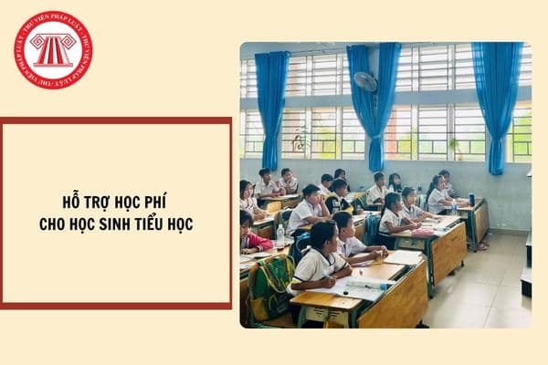 Hỗ trợ học phí cho học sinh tiểu học trong cơ sở giáo dục tư thục ở địa bàn không đủ trường công lập tại TP. HCM từ năm học 2024-2025?