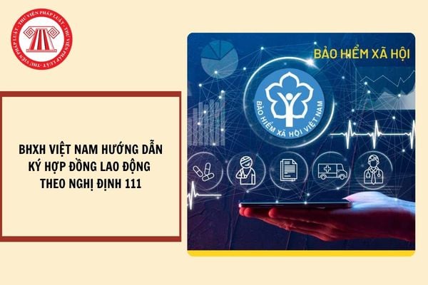 Bảo hiểm xã hội Việt Nam hướng dẫn các đơn vị trực thuộc ký hợp đồng lao động theo Nghị định 111?