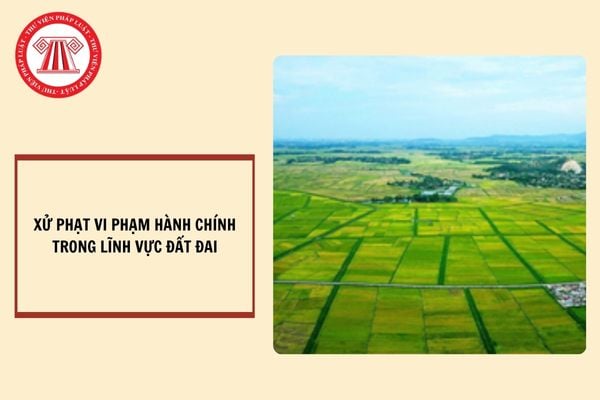 Người nước ngoài có bị xử phạt vi phạm hành chính trong lĩnh vực đất đai khi vi phạm tại Việt Nam hay không?