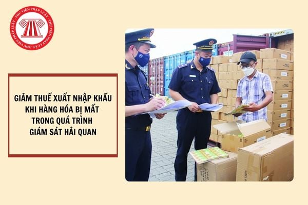 Có được giảm thuế xuất nhập khẩu đối với hàng hóa bị mất trong quá trình giám sát hải quan không?