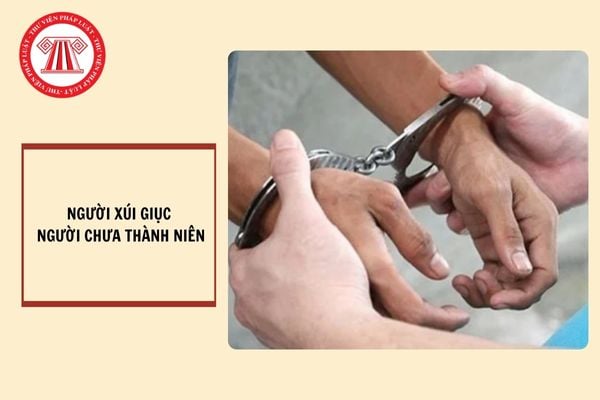 Có cần xác định có hay không có người xúi giục người chưa thành niên bị buộc tội trước khi tiến hành tố tụng?