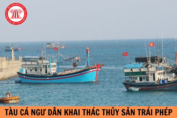 Hành vi tổ chức, môi giới cho người khác xuất cảnh, nhập cảnh để đưa tàu cá, ngư dân khai thác thủy sản trái phép ở ngoài vùng biển Việt Nam bị truy cứu trách nhiệm hình sự như thế nào?