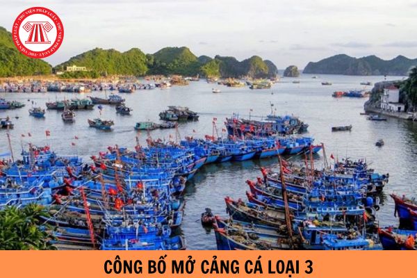 Trình tự thủ tục công bố mở cảng cá loại 3 được thực hiện như thế nào?