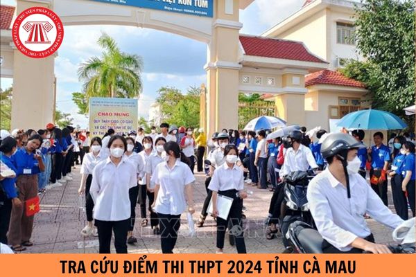 Hướng dẫn Tra cứu điểm thi THPT 2024 tỉnh Cà Mau đầy đủ, nhanh nhất?
