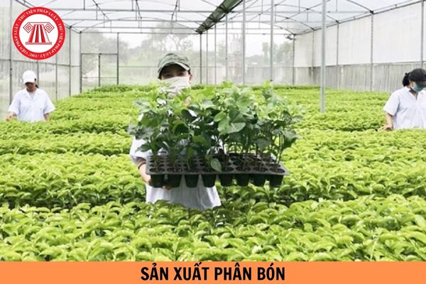 Sản xuất phân bón khi chưa được cấp Giấy chứng nhận đủ điều kiện sản xuất bị xử phạt vi phạm như thế nào?