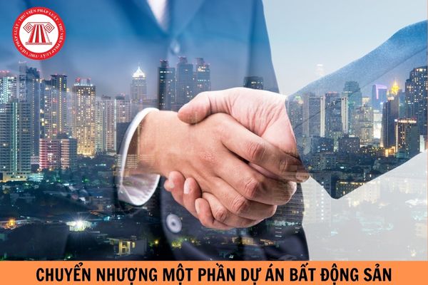 Mẫu hợp đồng chuyển nhượng một phần dự án bất động sản năm 2024?