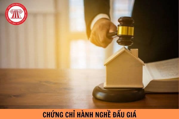 Công chức, viên chức được đề nghị làm việc cho Trung tâm dịch vụ đấu giá tài sản có được cấp Chứng chỉ hành nghề đấu giá không?