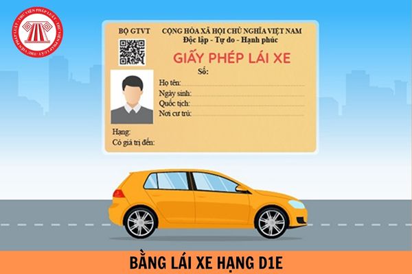 Bằng lái xe hạng D1E lái được xe gì từ ngày 01/01/2025?