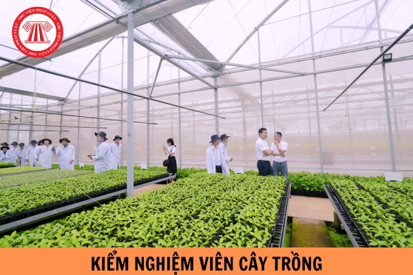 Bảng lương của viên chức Kiểm nghiệm viên cây trồng hạng 3 khi tăng lương cơ sở lên 2,34 triệu là bao nhiêu?