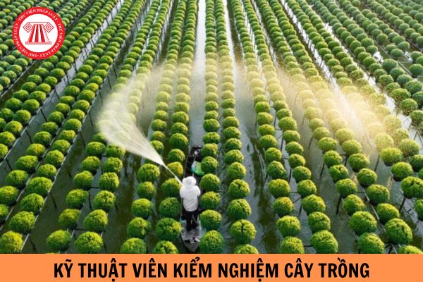 Bảng lương của viên chức Kỹ thuật viên kiểm nghiệm cây trồng khi tăng lương cơ sở lên 2,34 triệu là bao nhiêu?