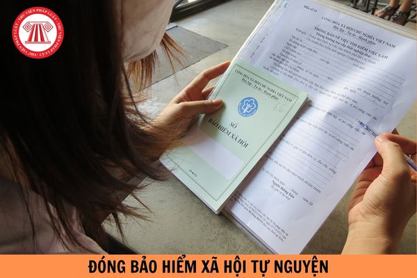 Cá nhân đóng bảo hiểm xã hội tự nguyện với khoản tỷ lệ là bao nhiêu?