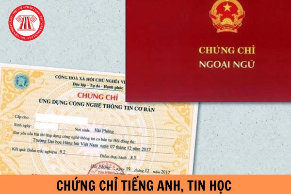 Công chức, viên chức thiếu chứng chỉ tiếng Anh, Tin học có bị cho thôi việc không?