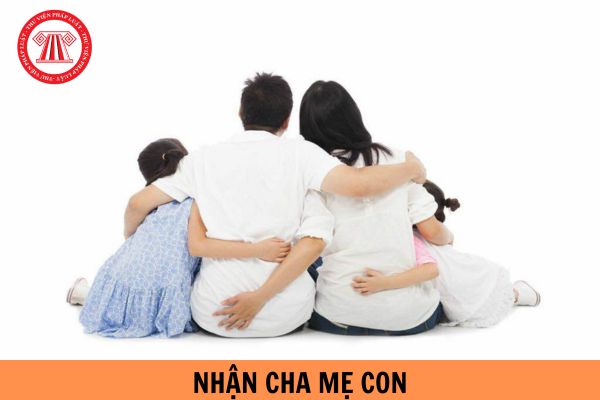 Mẫu tờ khai đăng ký nhận cha mẹ con năm 2024 mới nhất?