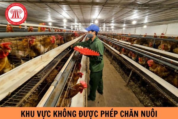 Điều kiện để được hỗ trợ chính sách hỗ trợ di dời cơ sở chăn nuôi ra khỏi khu vực không được phép chăn nuôi là gì?