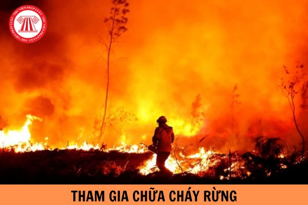 Có nhiều lực lượng tham gia chữa cháy rừng thì người chỉ huy chữa cháy rừng của từng lực lượng được quy định như thế nào?