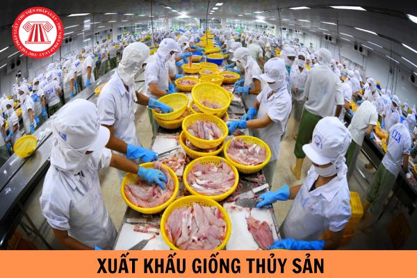 Trường hợp nào tổ chức, cá nhân được xuất khẩu giống thủy sản?