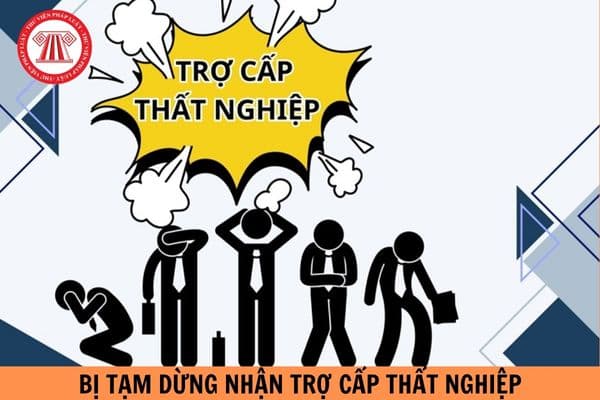 Thủ tục tạm dừng hưởng trợ cấp thất nghiệp được thực hiện theo các bước nào?