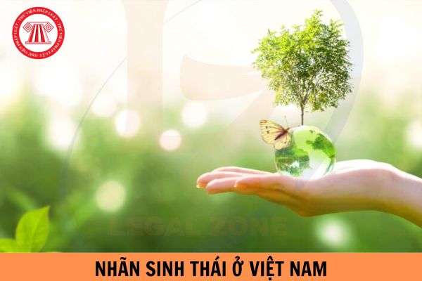 Nhãn sinh thái ở Việt Nam có bao nhiêu loại?