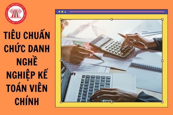 Tiêu chuẩn chức danh nghề nghiệp kế toán viên chính từ 21/10/2024 là gì?