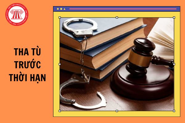 Tha tù trước thời hạn là gì? Chấp hành án bao lâu thì được giảm án? Một năm có bao nhiêu đợt giảm án?