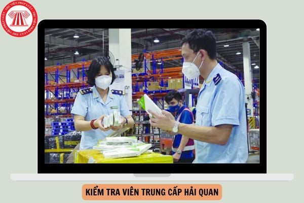 Bảng lương Kiểm tra viên trung cấp hải quan cập nhật mới nhất năm 2024?