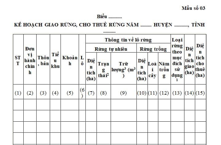 kế hoạch giao rừng, cho thuê rừng trên địa bàn huyện