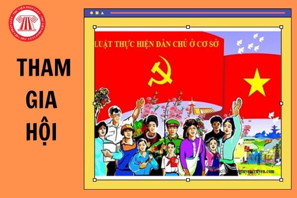 Mẫu số 02 đơn tổ chức Việt Nam đăng ký tham gia hội từ ngày 26/11/2024?