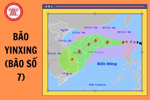 Ban hành Công điện 114/CĐ-TTg năm 2024 về việc chủ động ứng phó bão YINXING (bão số 7)?