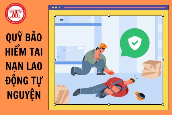 Nguyên tắc quản lý hoạt động của Quỹ bảo hiểm tai nạn lao động tự nguyện từ 01/01/2025?