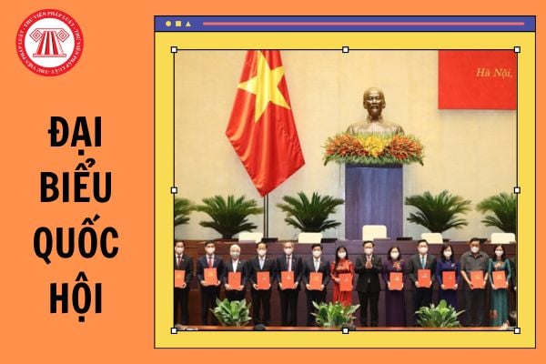 Tiêu chuẩn Đại biểu Quốc hội cần đáp ứng những điều kiện gì? Bao nhiêu tuổi được ứng cử đại biểu Quốc hội?