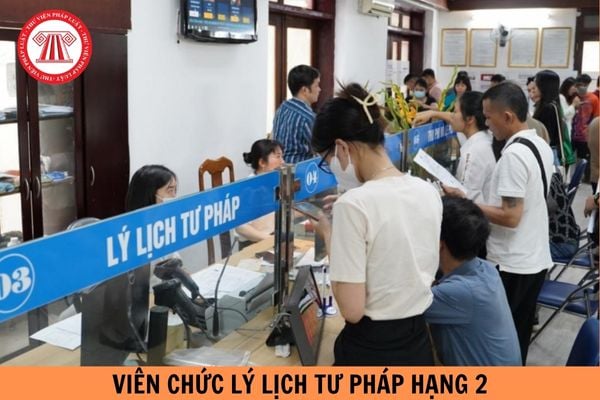 Tiêu chuẩn về năng lực chuyên môn nghiệp vụ đối với Viên chức lý lịch tư pháp hạng 2 từ 15/01/2025 như thế nào?